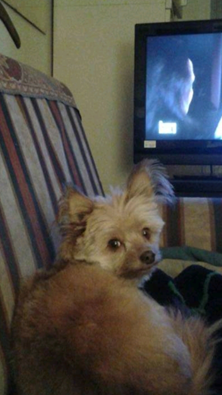 Screenshot_20200323-180132